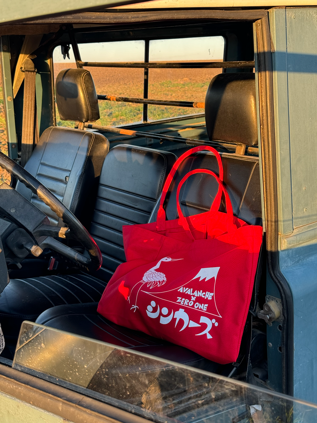 Gwanzi Oversized Cotton Canvas Tote Bag